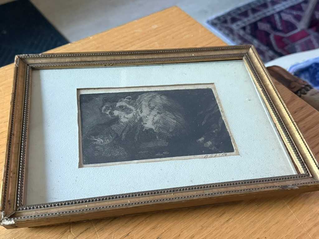 framed etching of raccoons, Image 1.