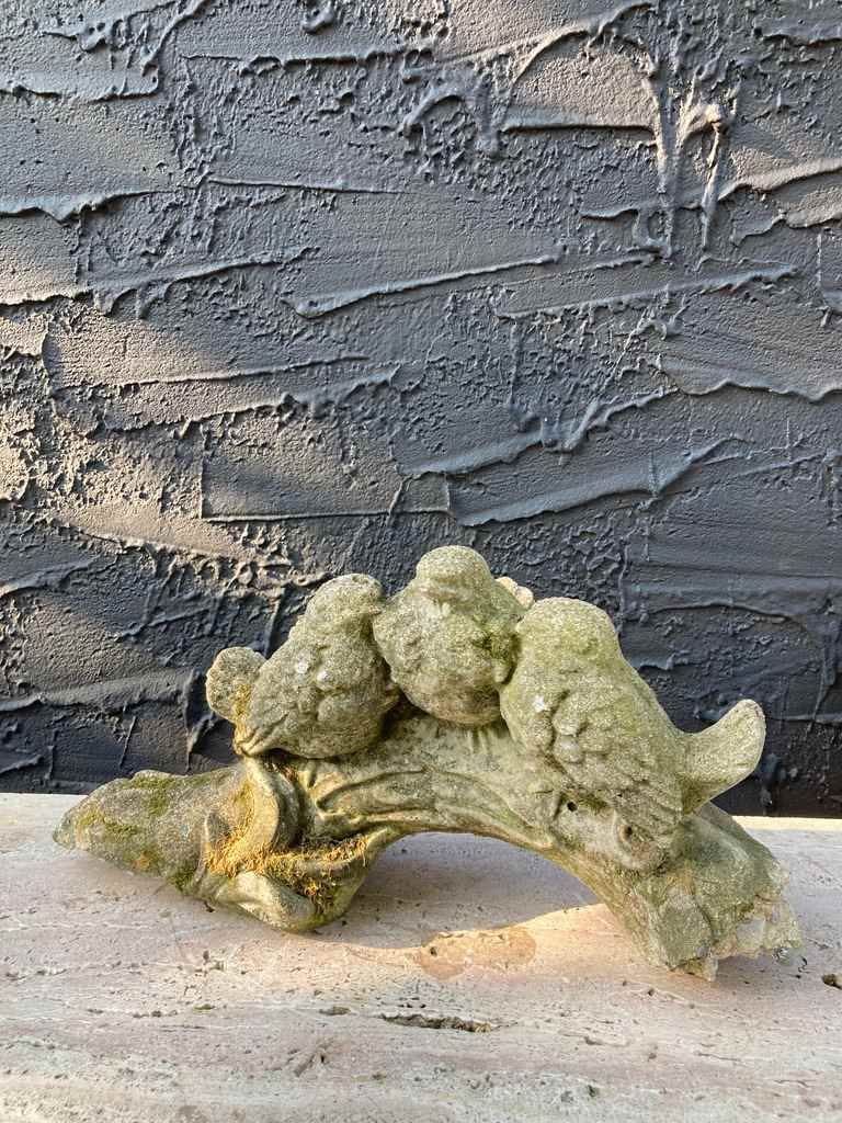 cement bird group 