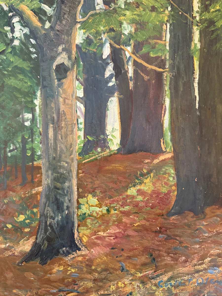 Carl G. T. Olson original oil painting on board forest SD7 