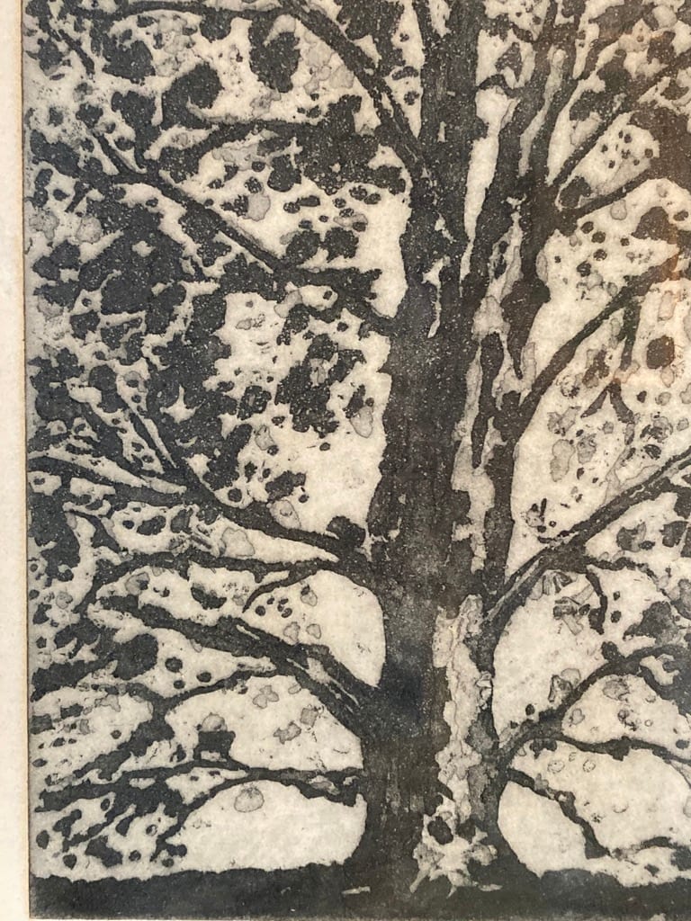 Framed tree engraving 