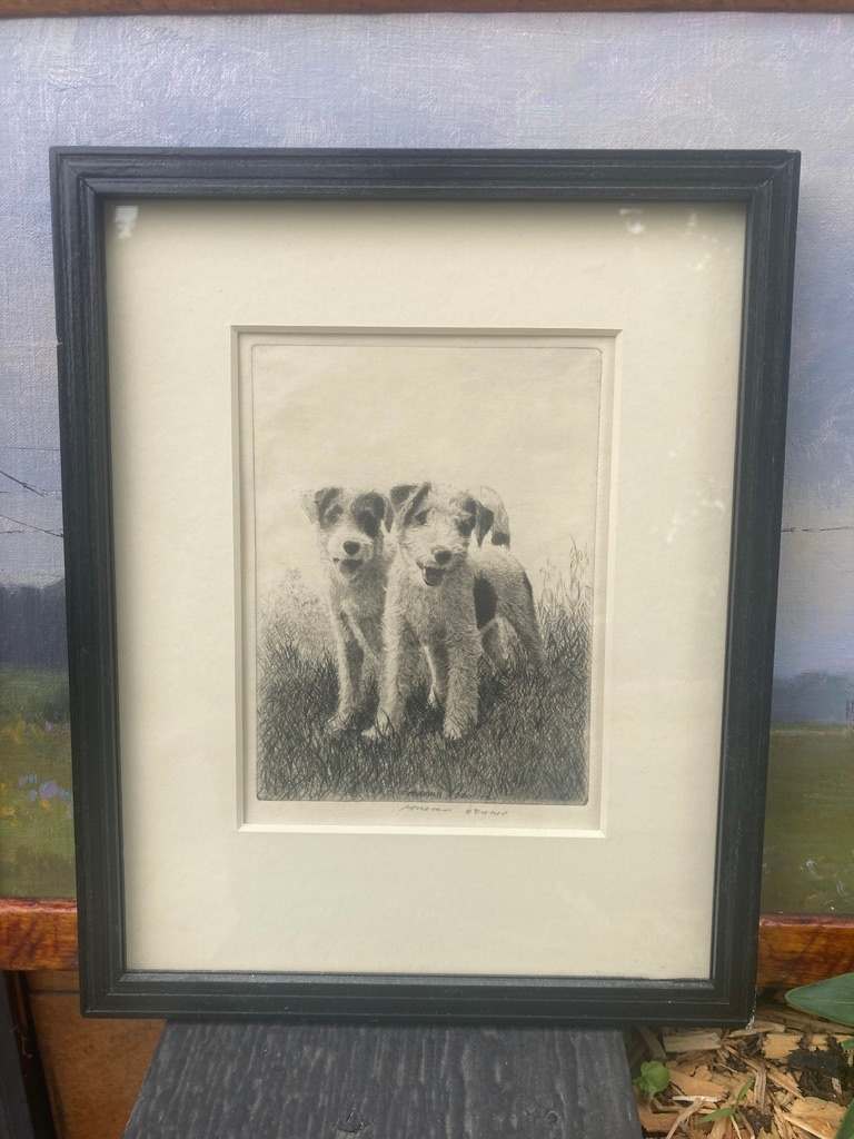 framed etching of airdales 