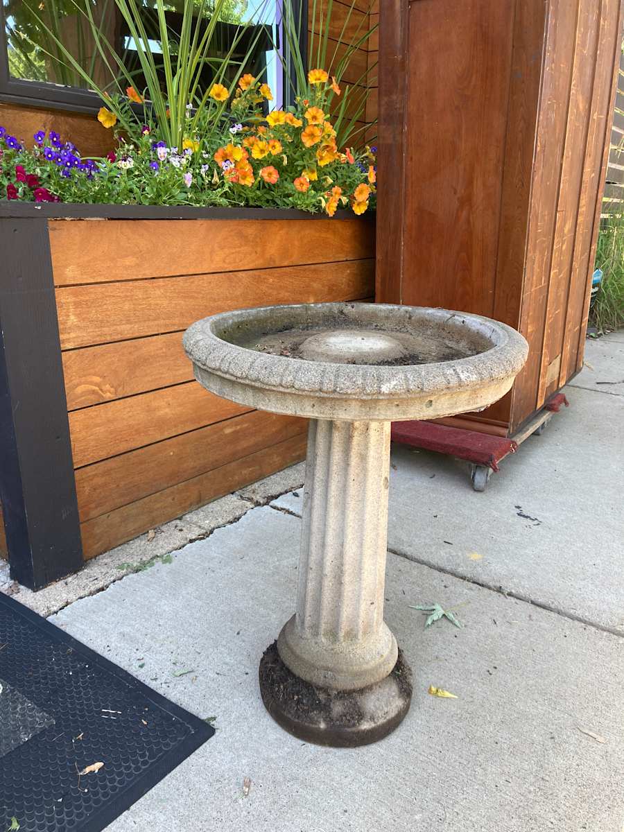 bird bath 