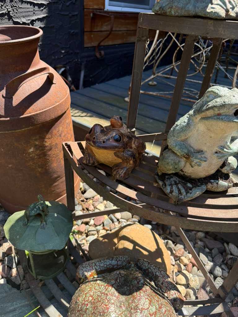 small brown ceramic frog, Image 1.