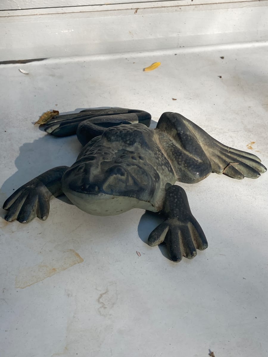 Cast iron frog 