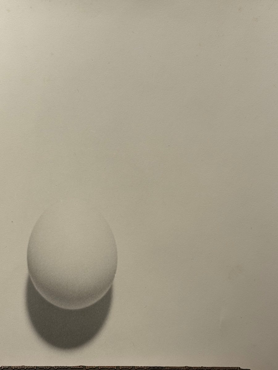 black and white photograph egg on white 