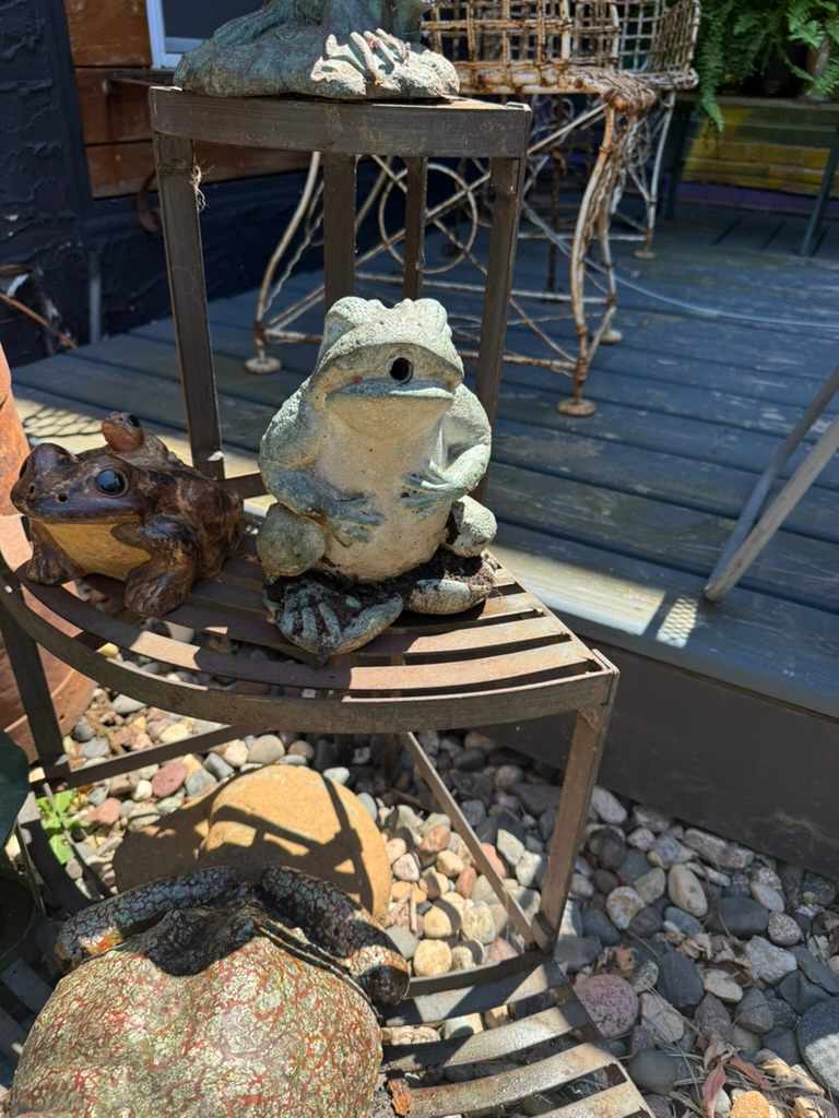 Frog fountain head, Image 1.
