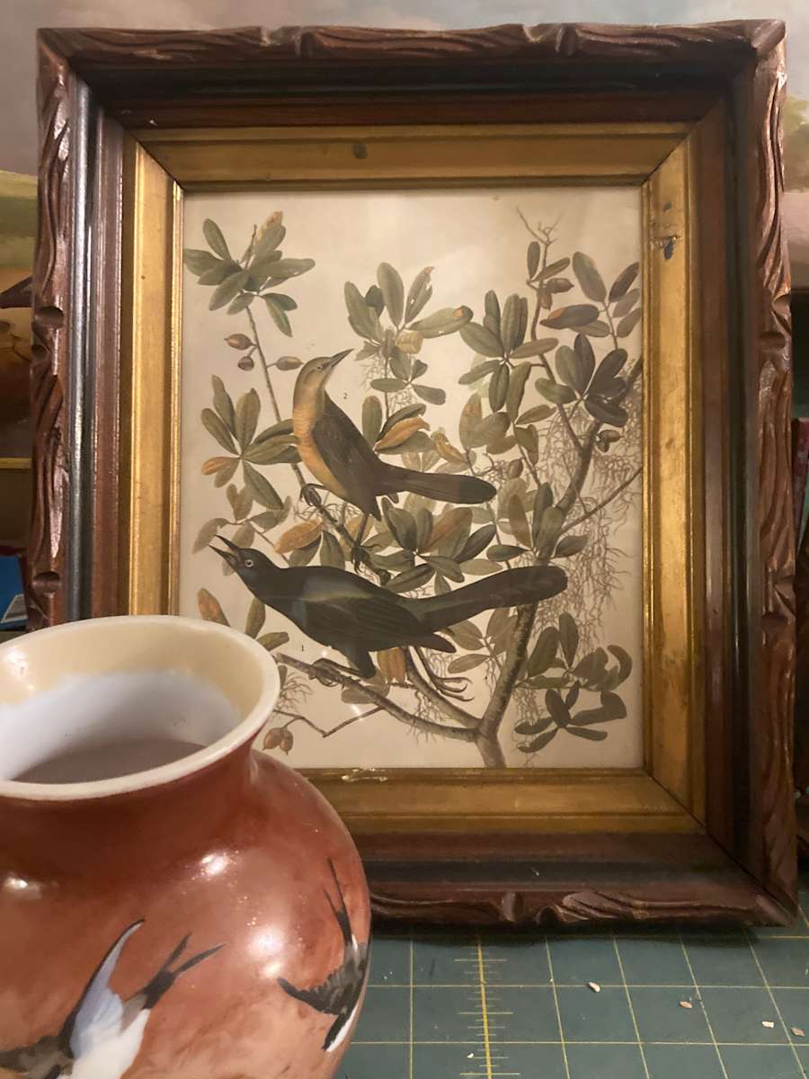 1941 James AudubonTree Sparrow lithograph 