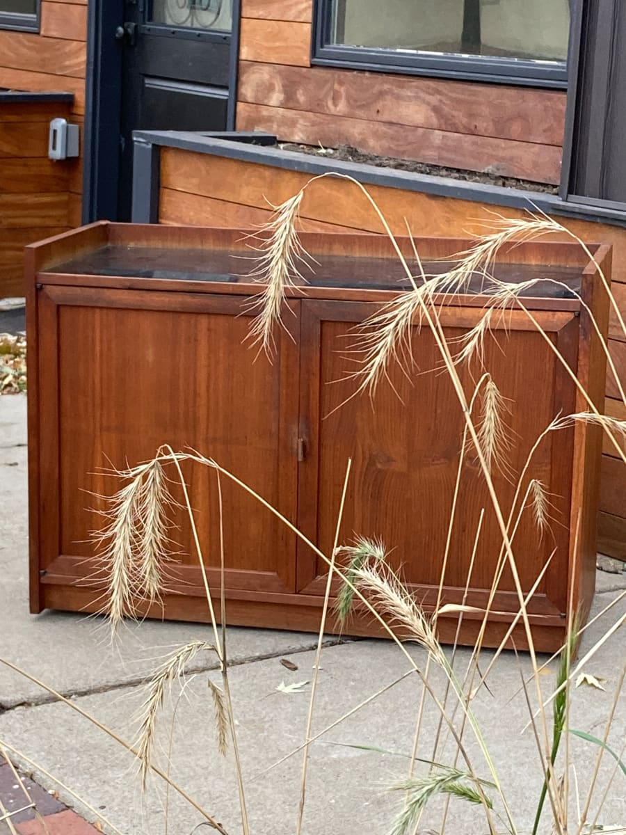 Mid century modern walnut dry bar 