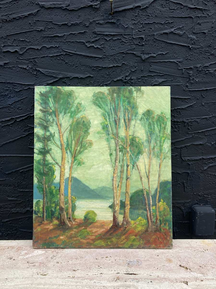 original painting on canvas trees with lake and mountains #54 