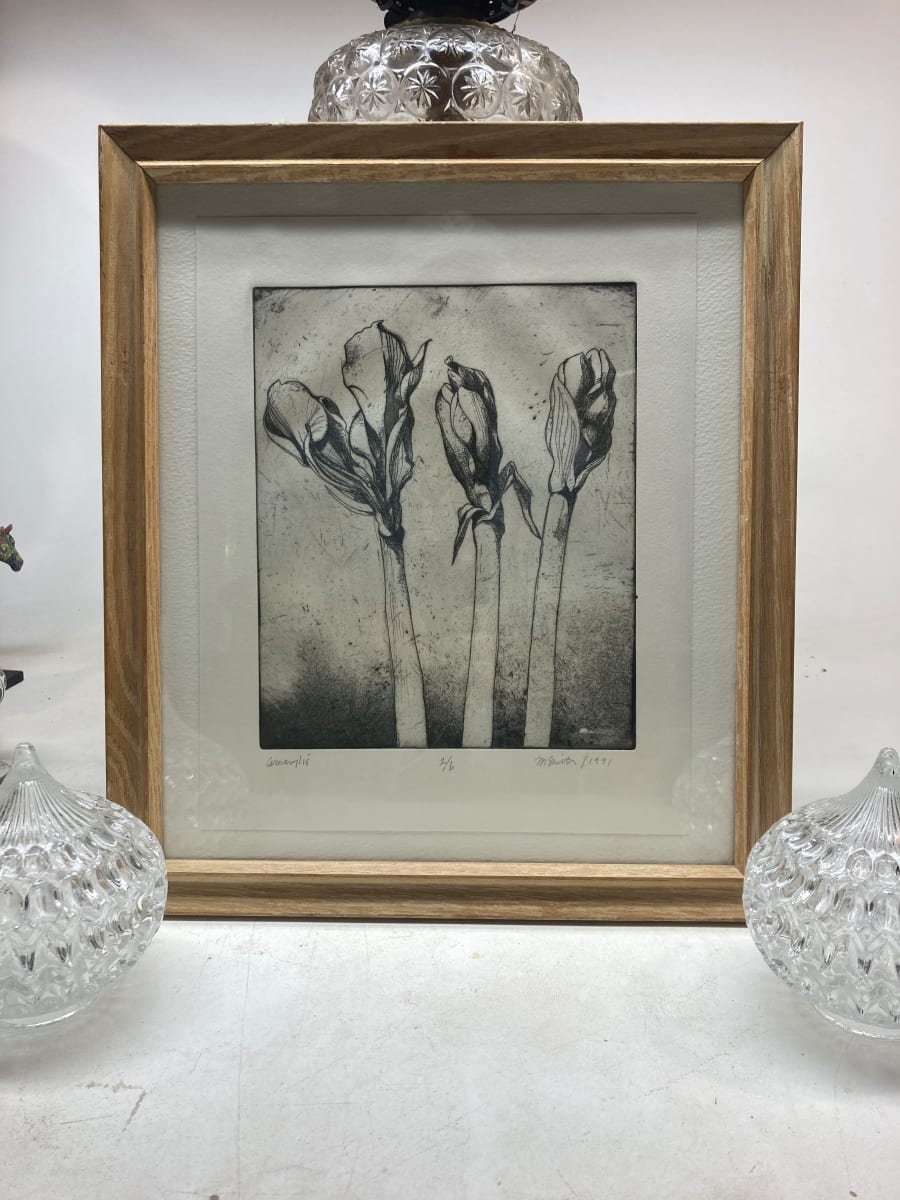 Framed Amarylis etching 