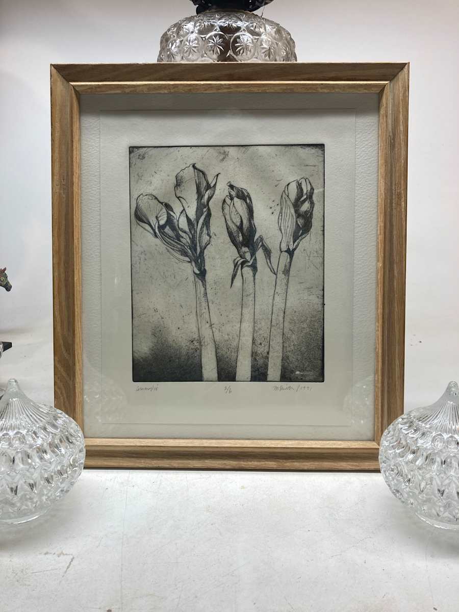 Framed Amarylis etching, Image 3.