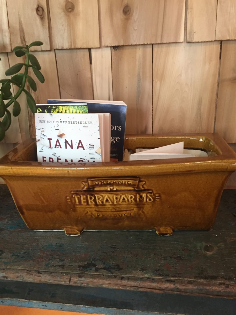 Terra Firma pottery planter 