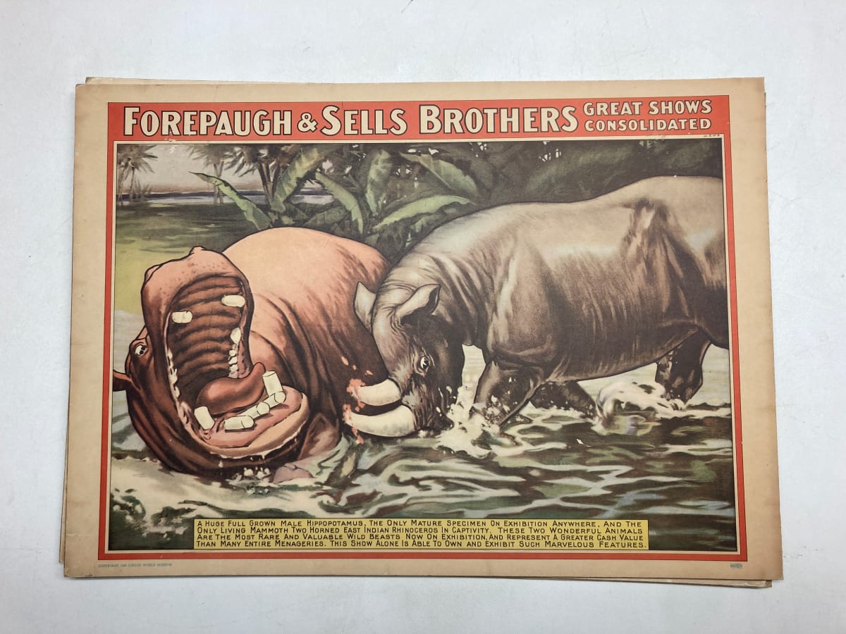 unframed 1960's Circus print with hippo on board 