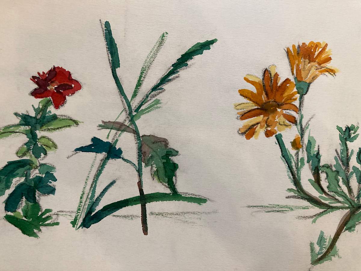 unframed still life watercolor by Connie Goldman 