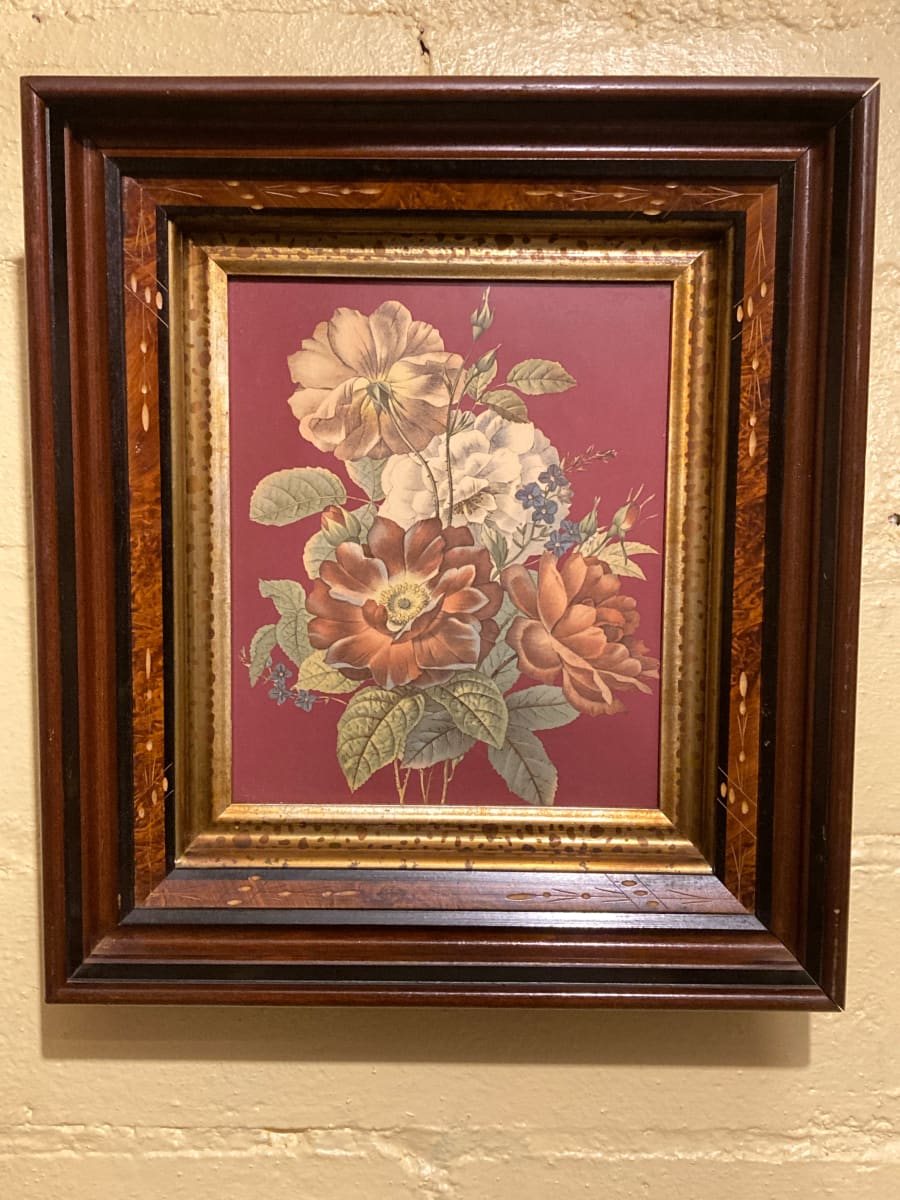 Framed botanical with red background 