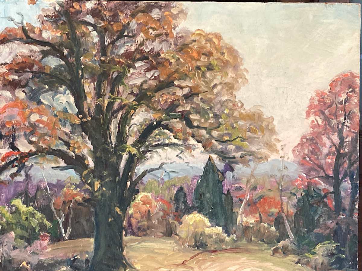 Original oil painting  on  board oak tree in glen by Carl G. T. Olson 