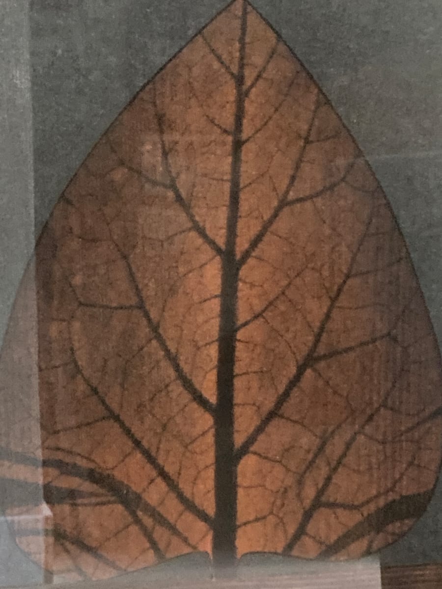 Eugene Larkin opening at orchestra hall 