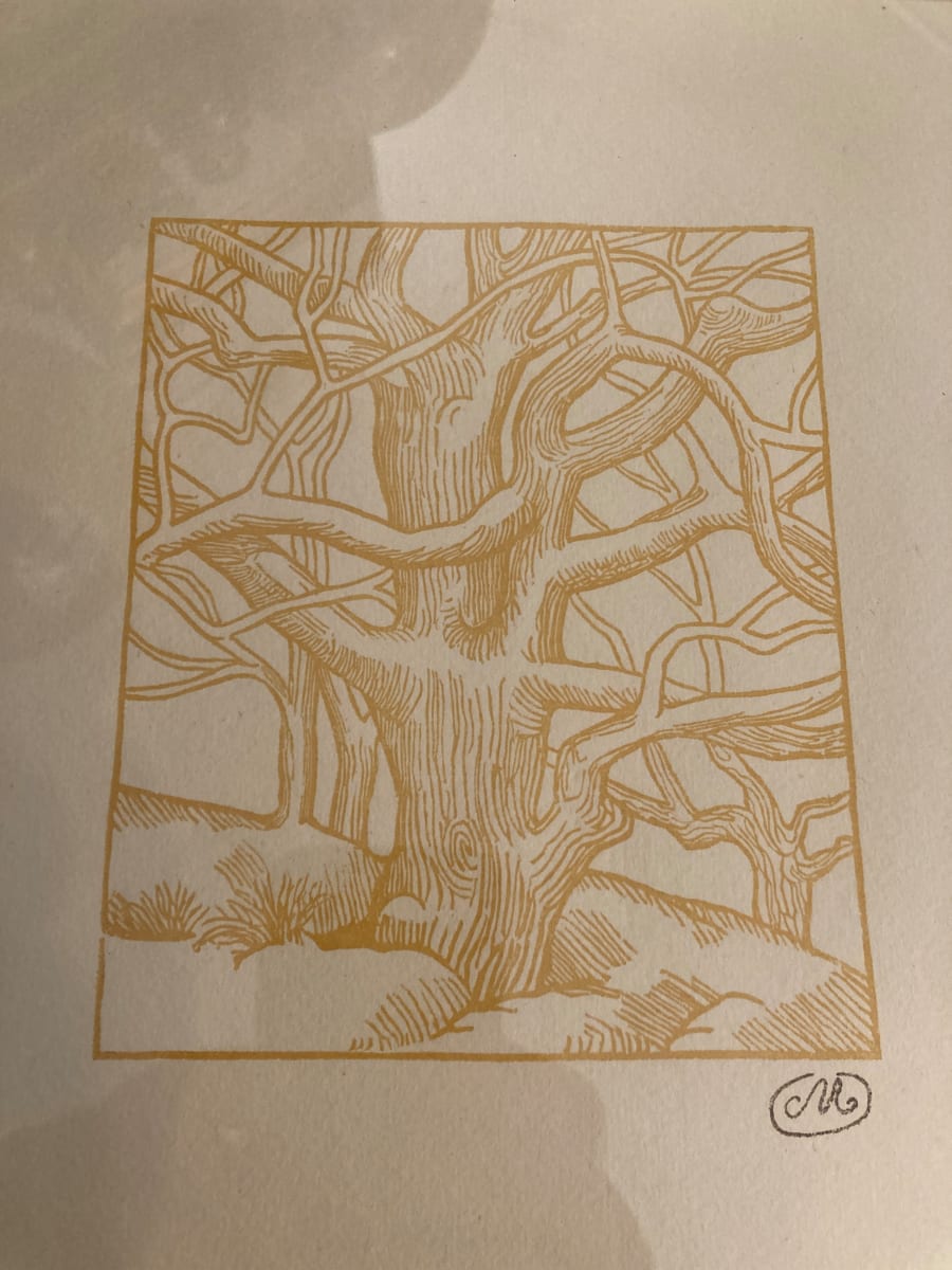 Framed modern tree wood block by Aristide Maillol 