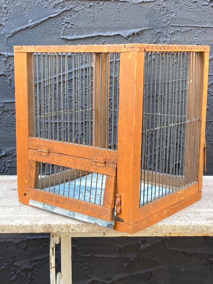Orange painted bird cage 