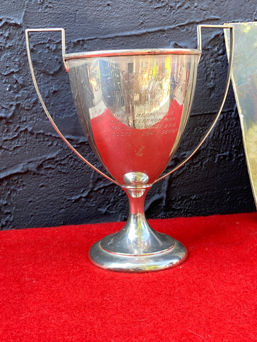 Vintage horse trophy 