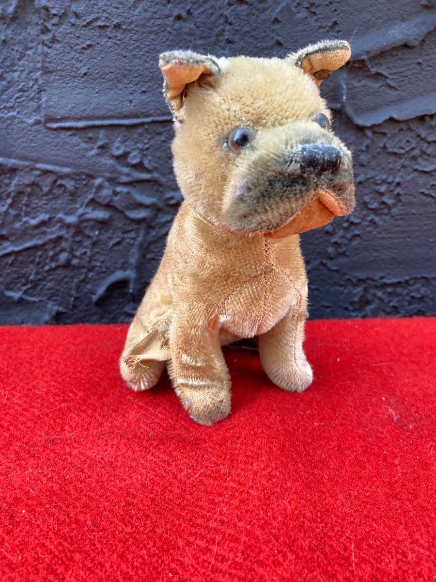 stuffed Steiff mohair seated boxer 