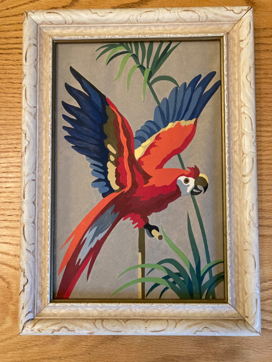 Parrot painting 