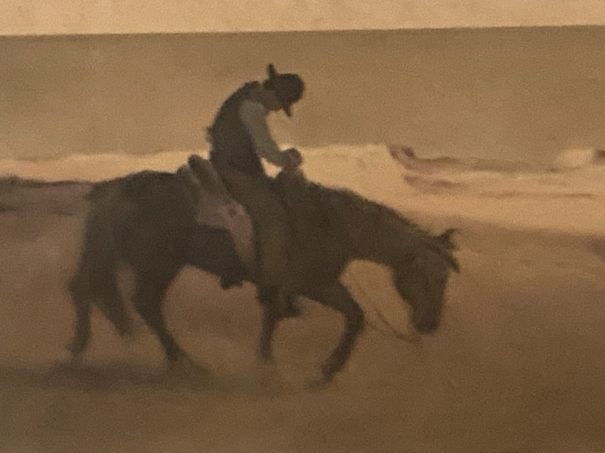 cowboy on horseback 