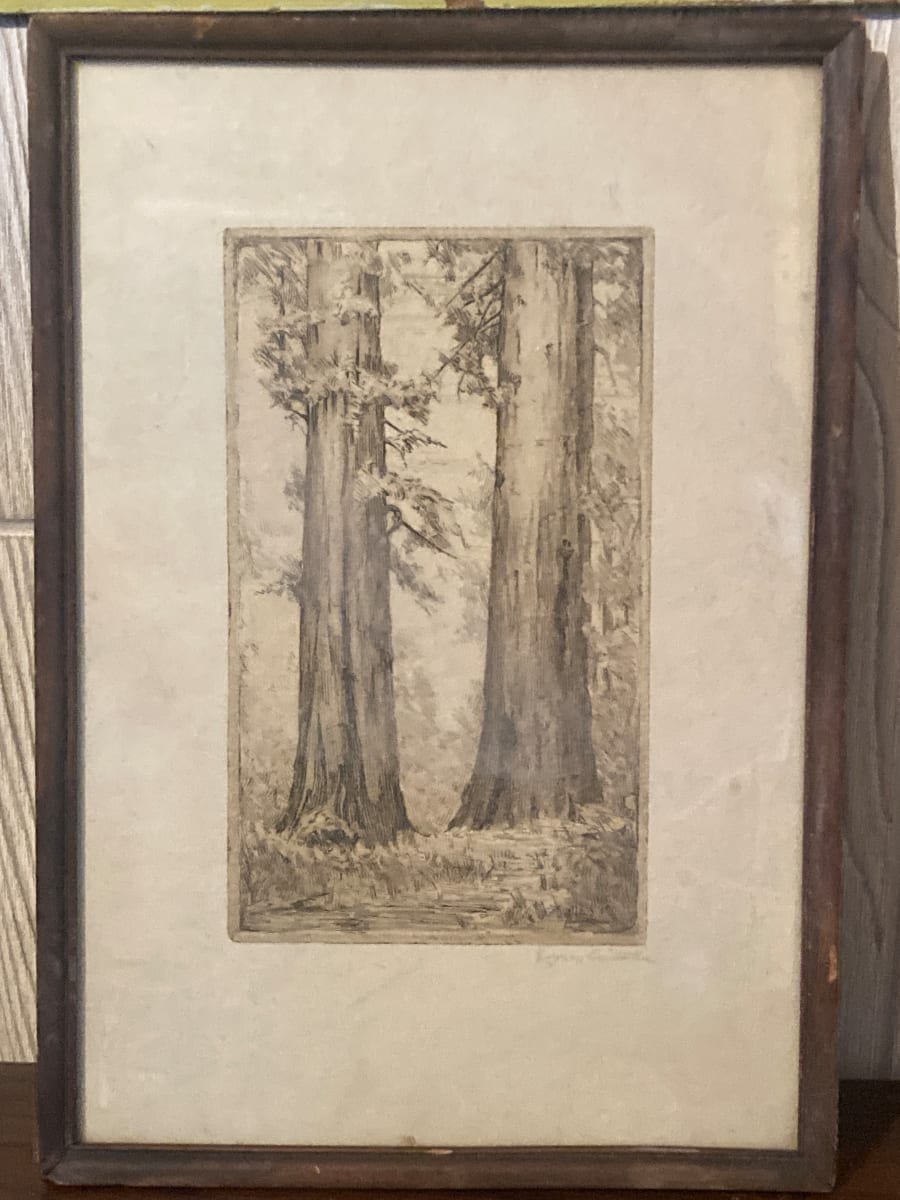 framed tree etching 