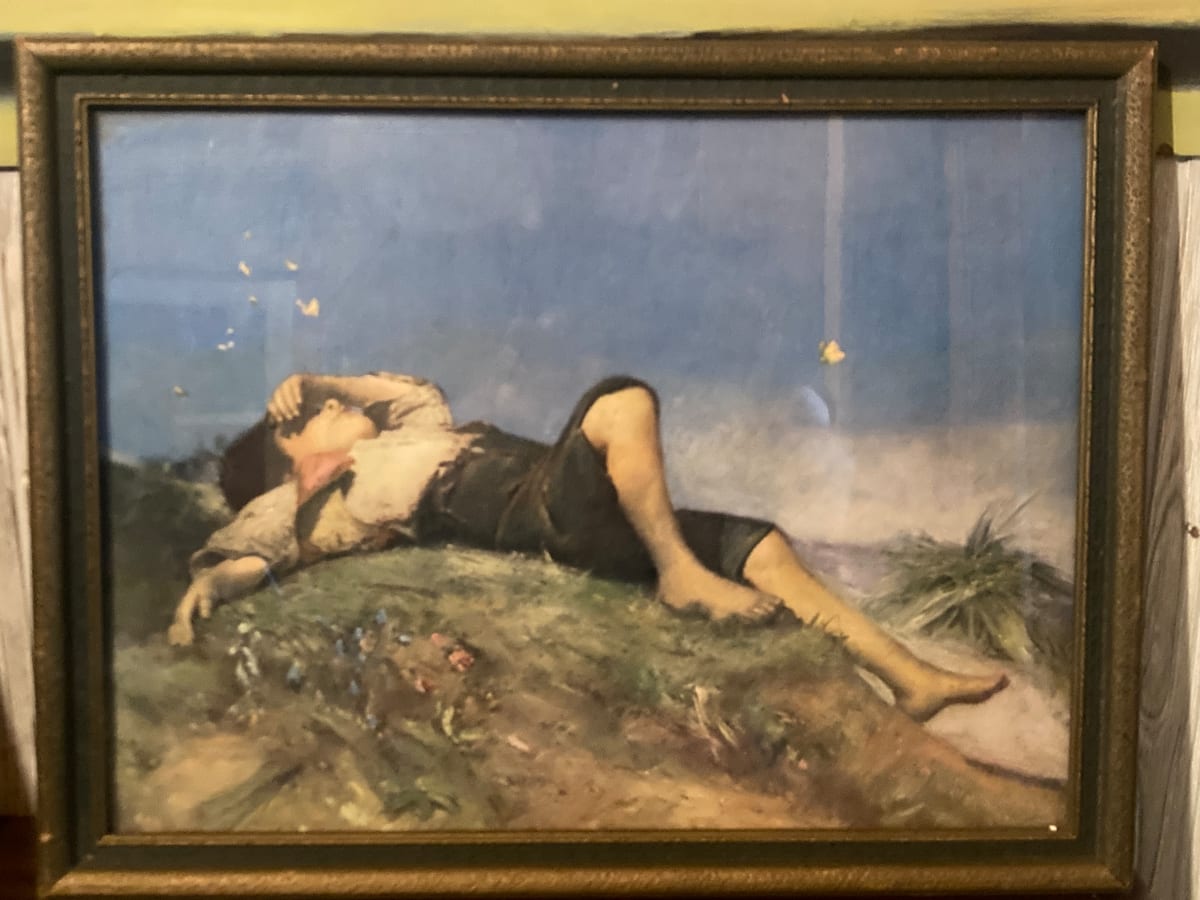 boy lying down with butterflies 