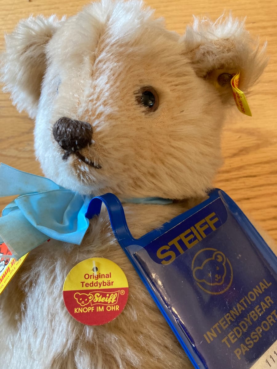 Steiff teddy bear with tags 