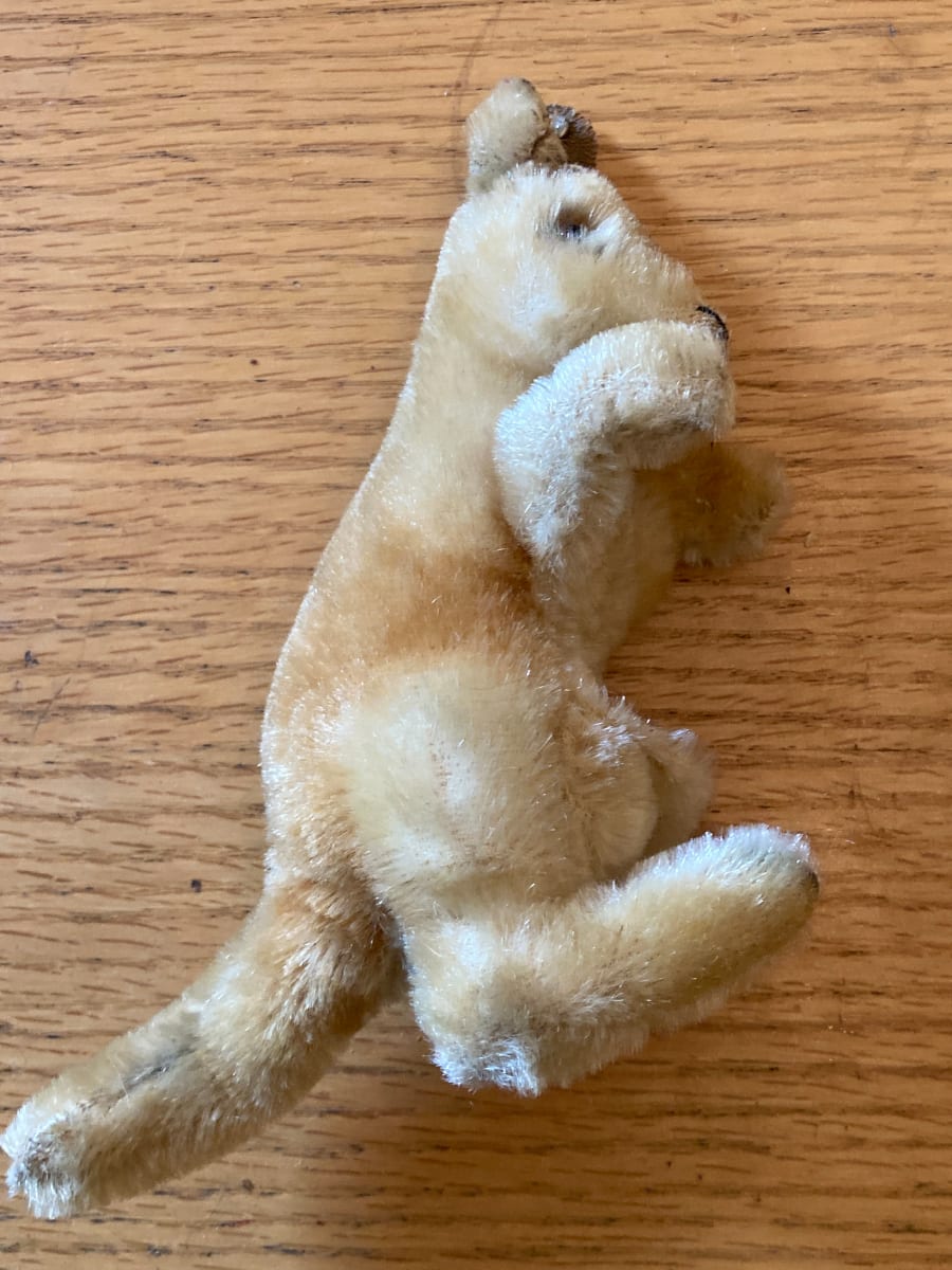 Steiff kangaroo teddy bear, Image 1.