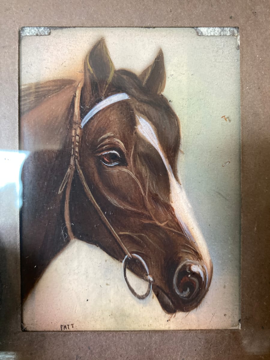 hand painted horse portrait 