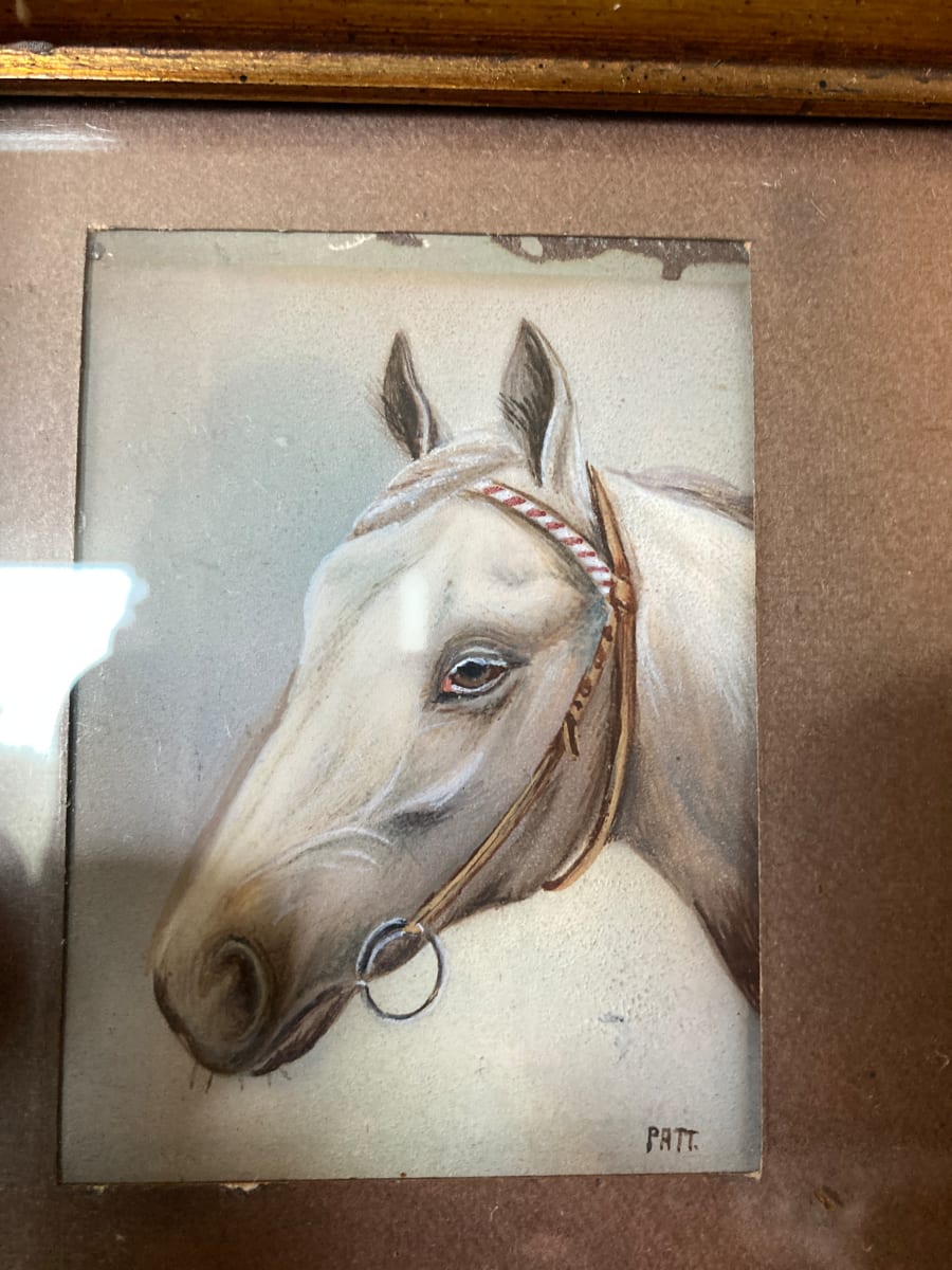 hand painted white horse portrait 