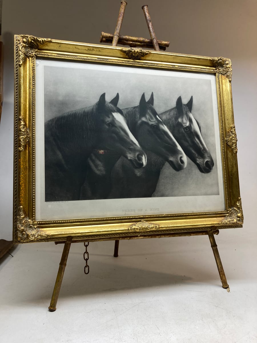 Framed engraving of 3 horses 