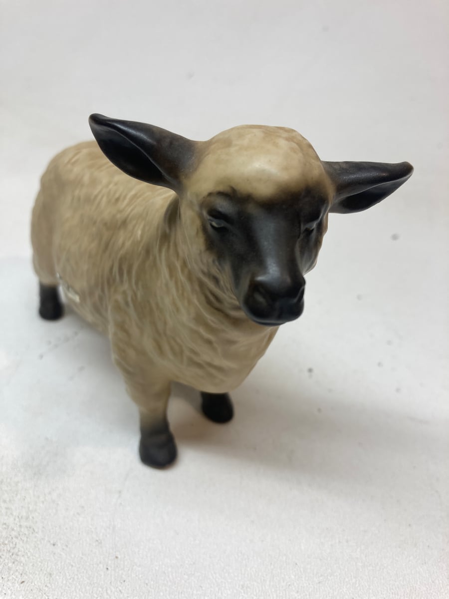Lefton sheep, Image 1.