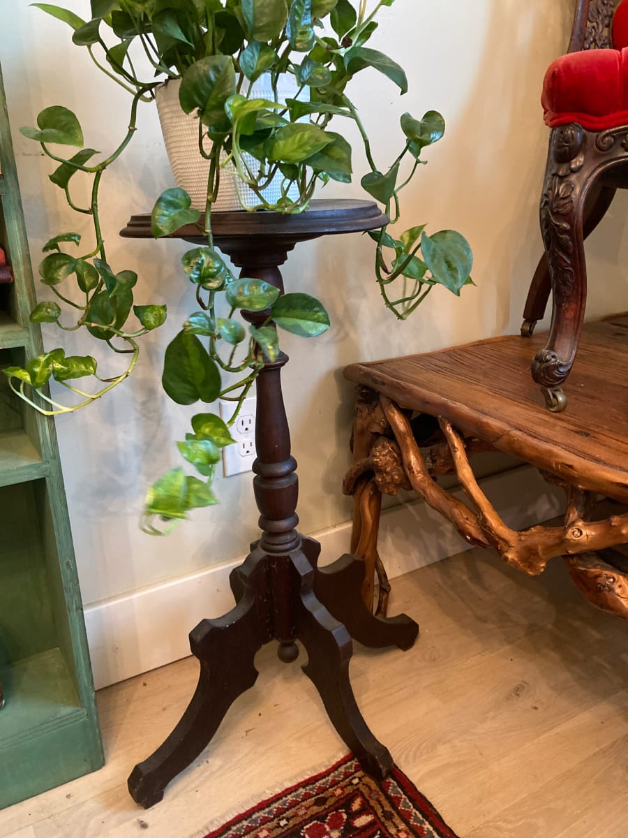 walnut Victorian era plant stand 