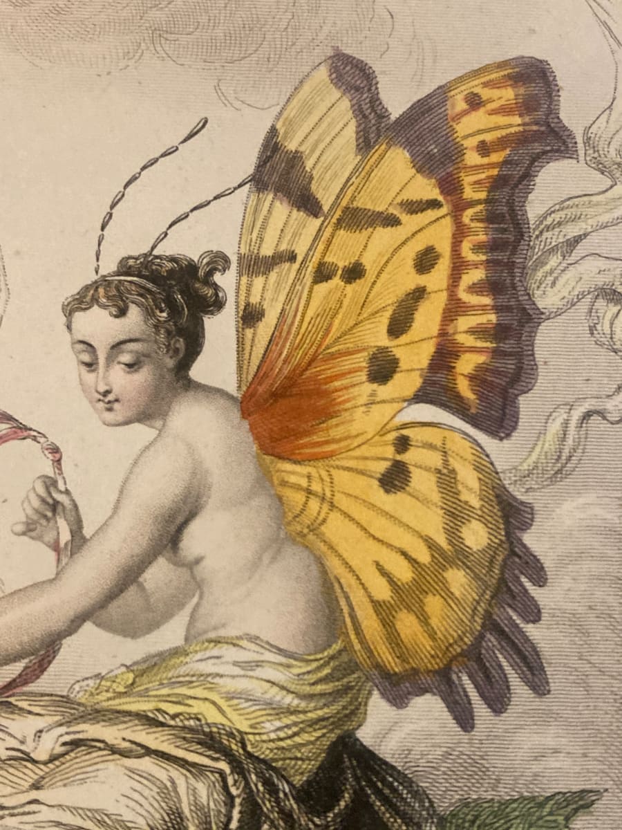 Hand colored Fairy steel engraving circa 1830's 