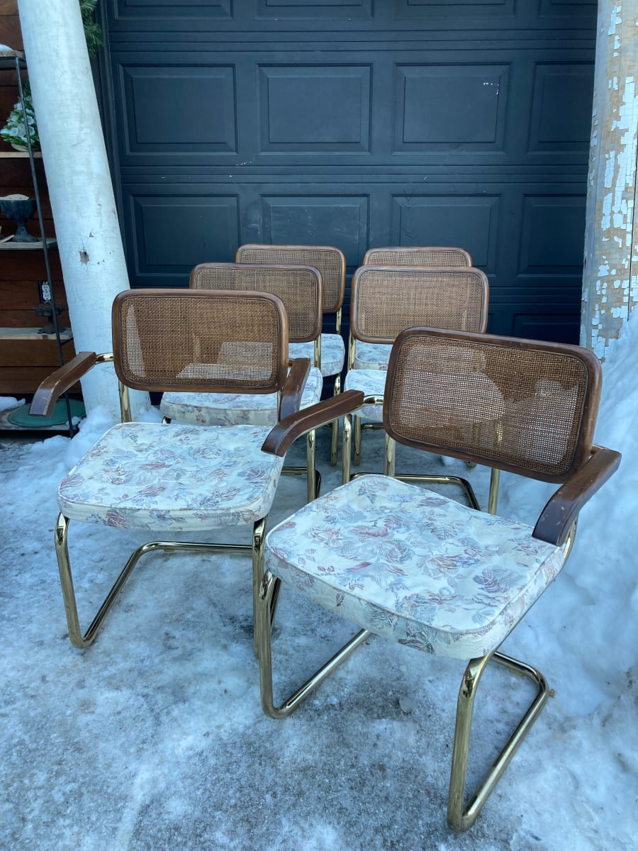 set of 6 Cesca chairs 