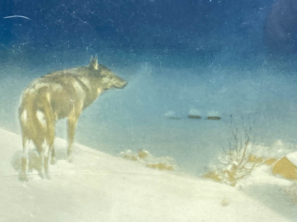 framed lone wolf lithograph 
