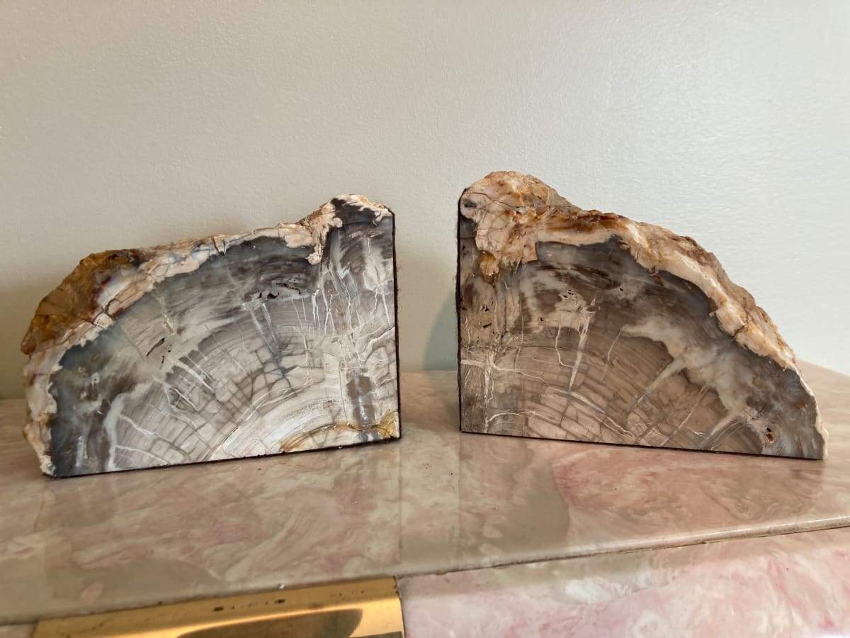 Petrified wood bookends 