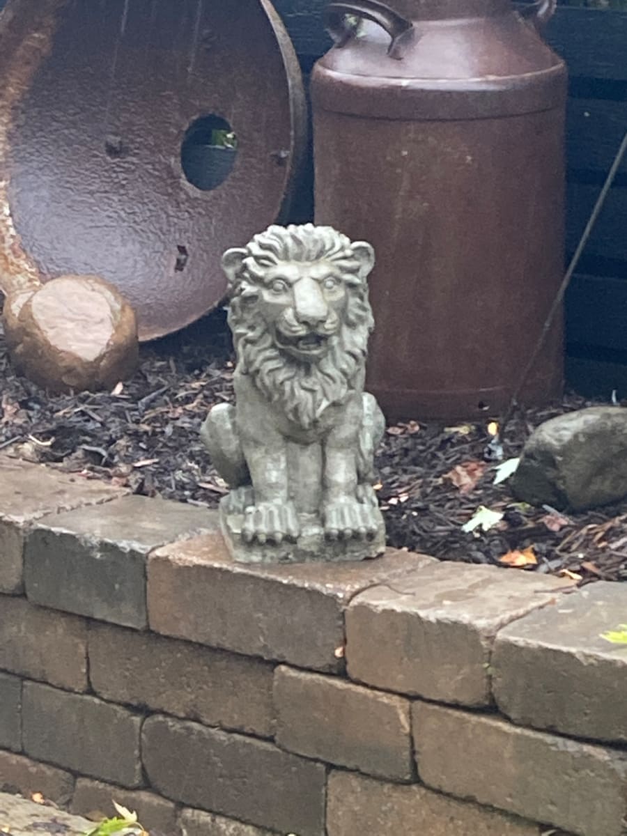 Cement lion 