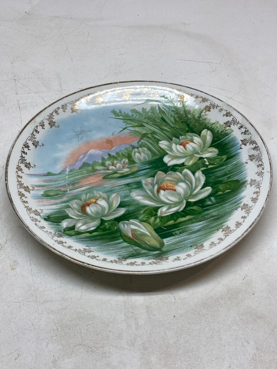 Hand painted cookie plate 