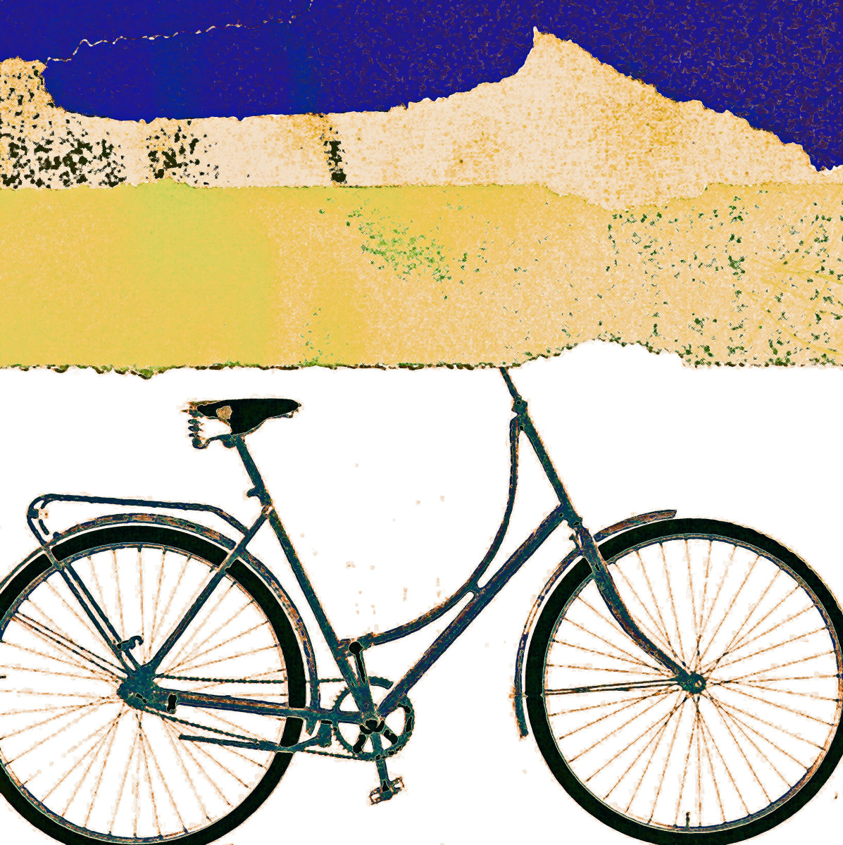 Bicycle by Gina Godfrey 