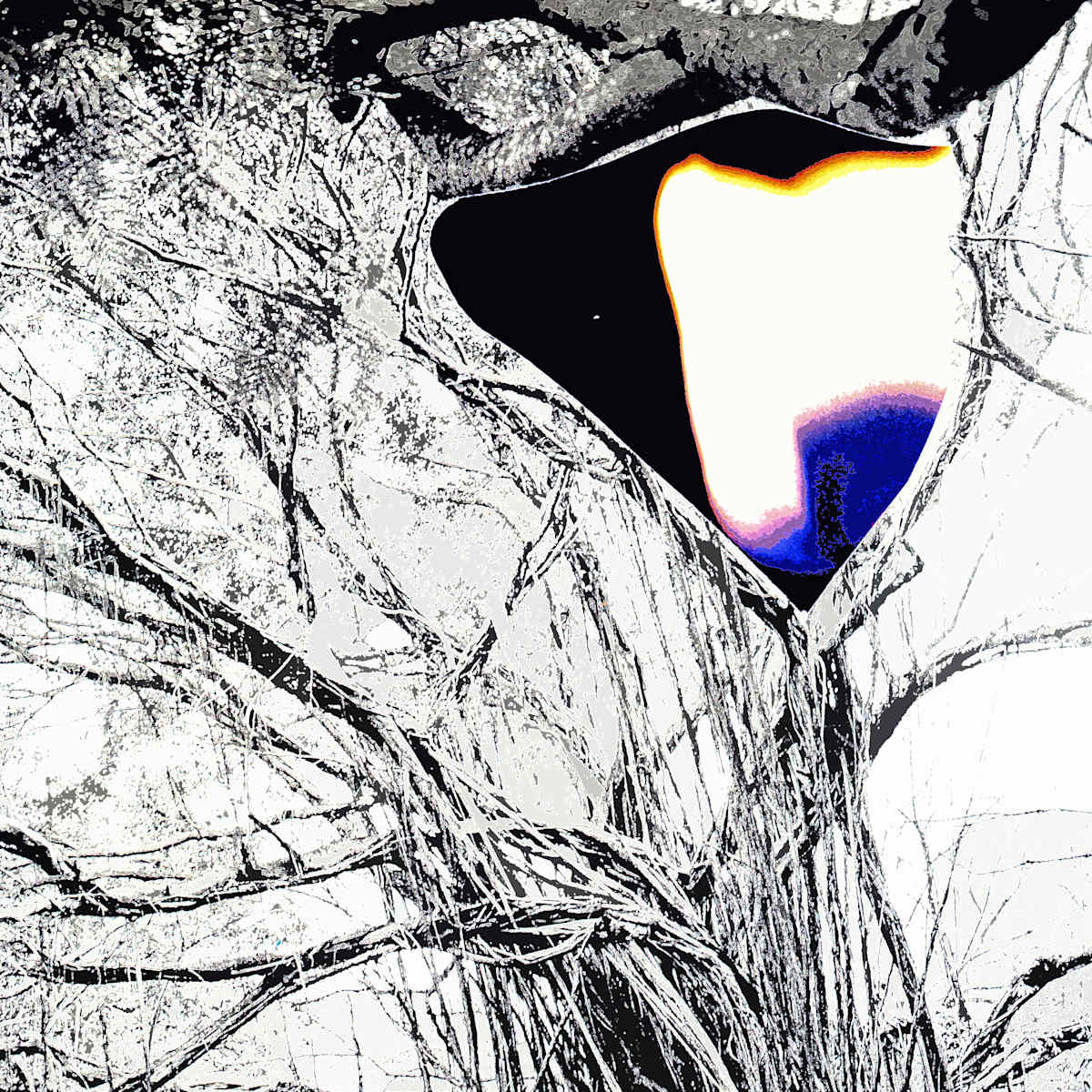Contrast with Light by Gina Godfrey, Image 1.