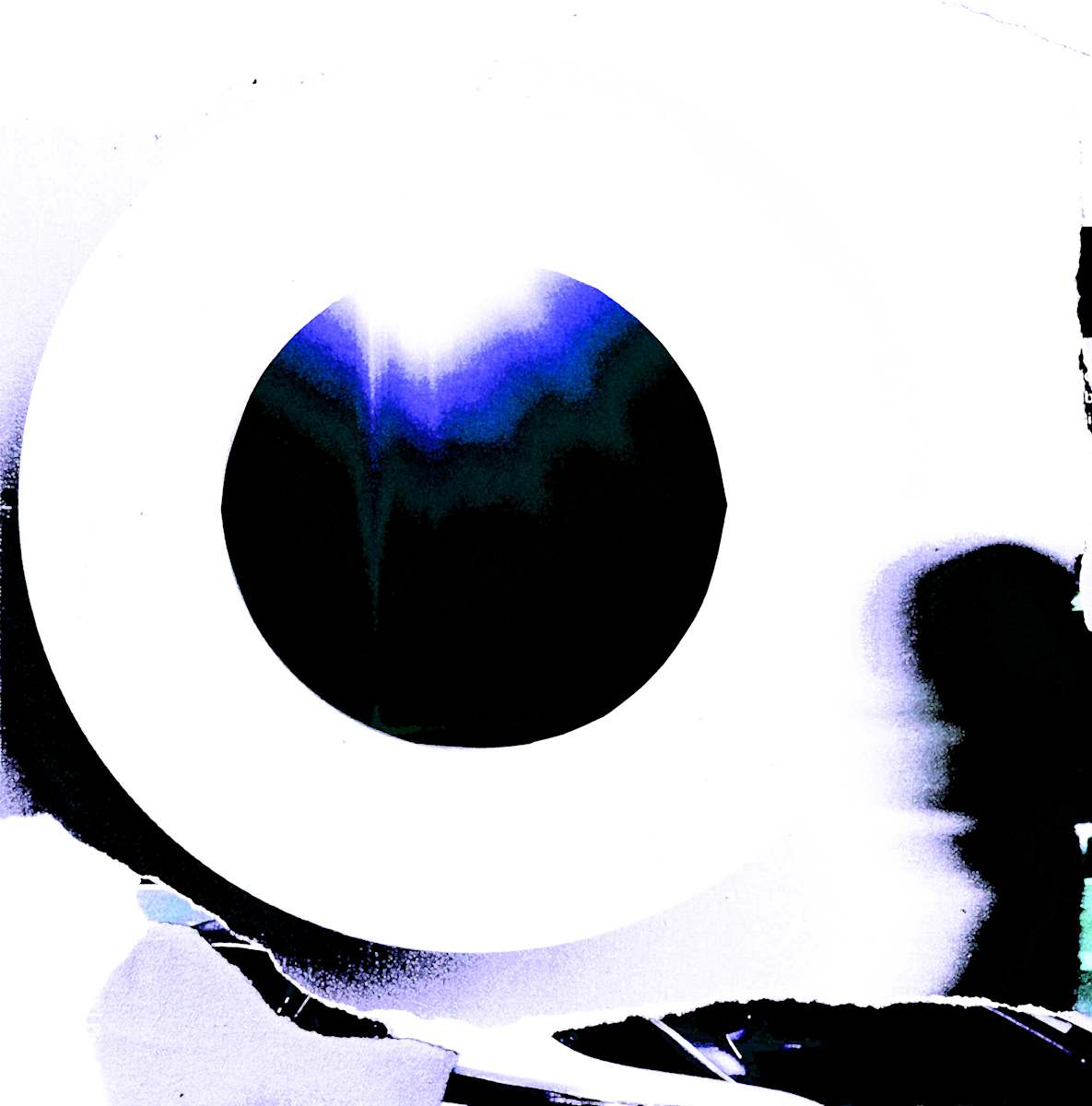 Eclipse by Gina Godfrey, Image 1.