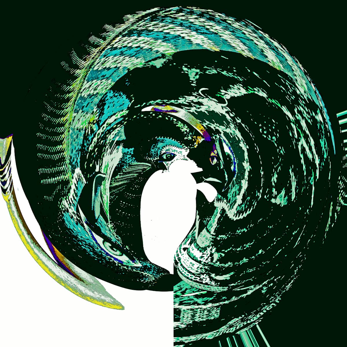 Parrot by Gina Godfrey, Image 1.