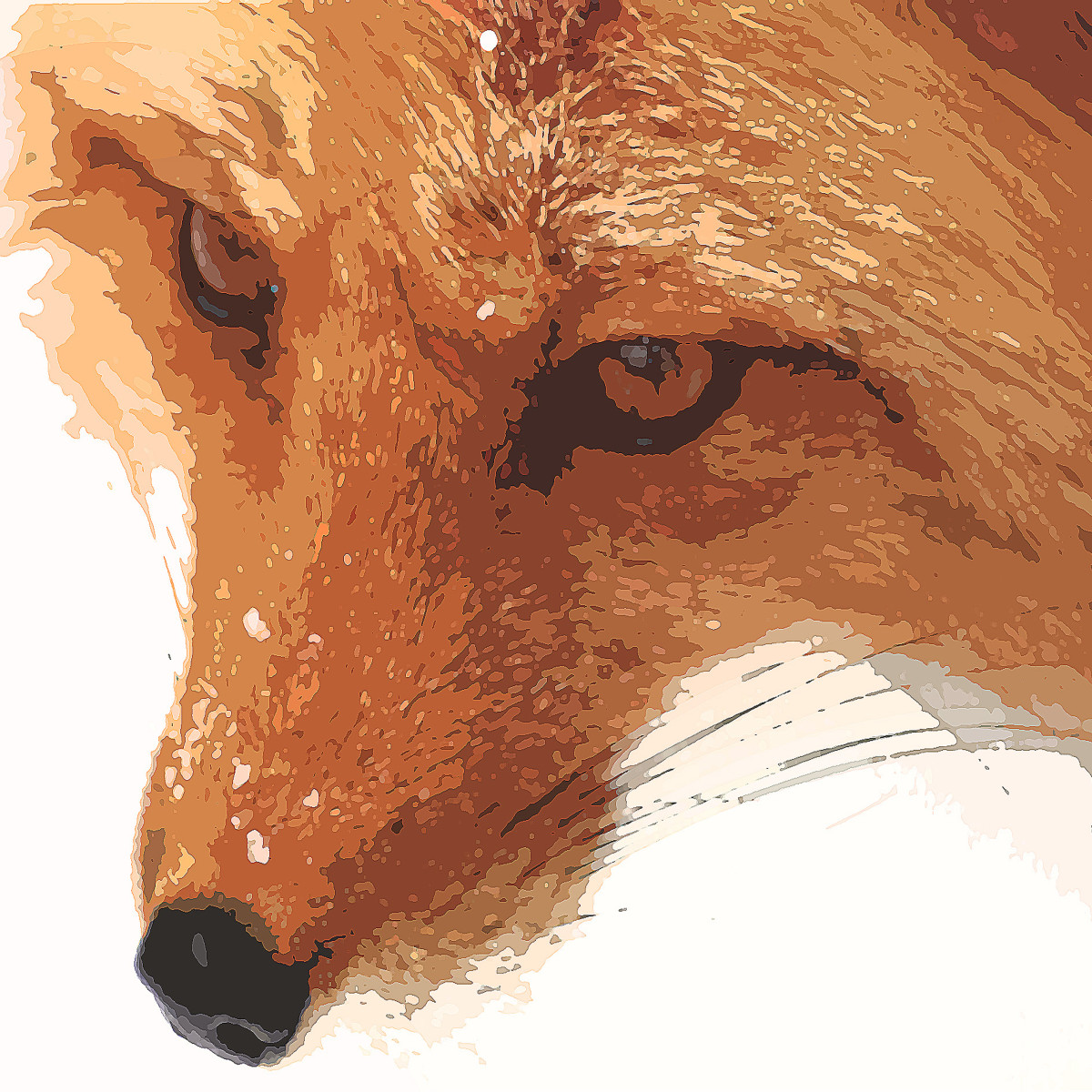 Red Fox by Gina Godfrey 