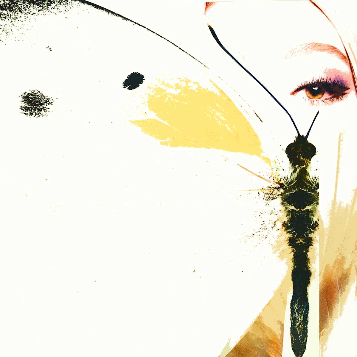 Taking Flight by Gina Godfrey, Image 1.
