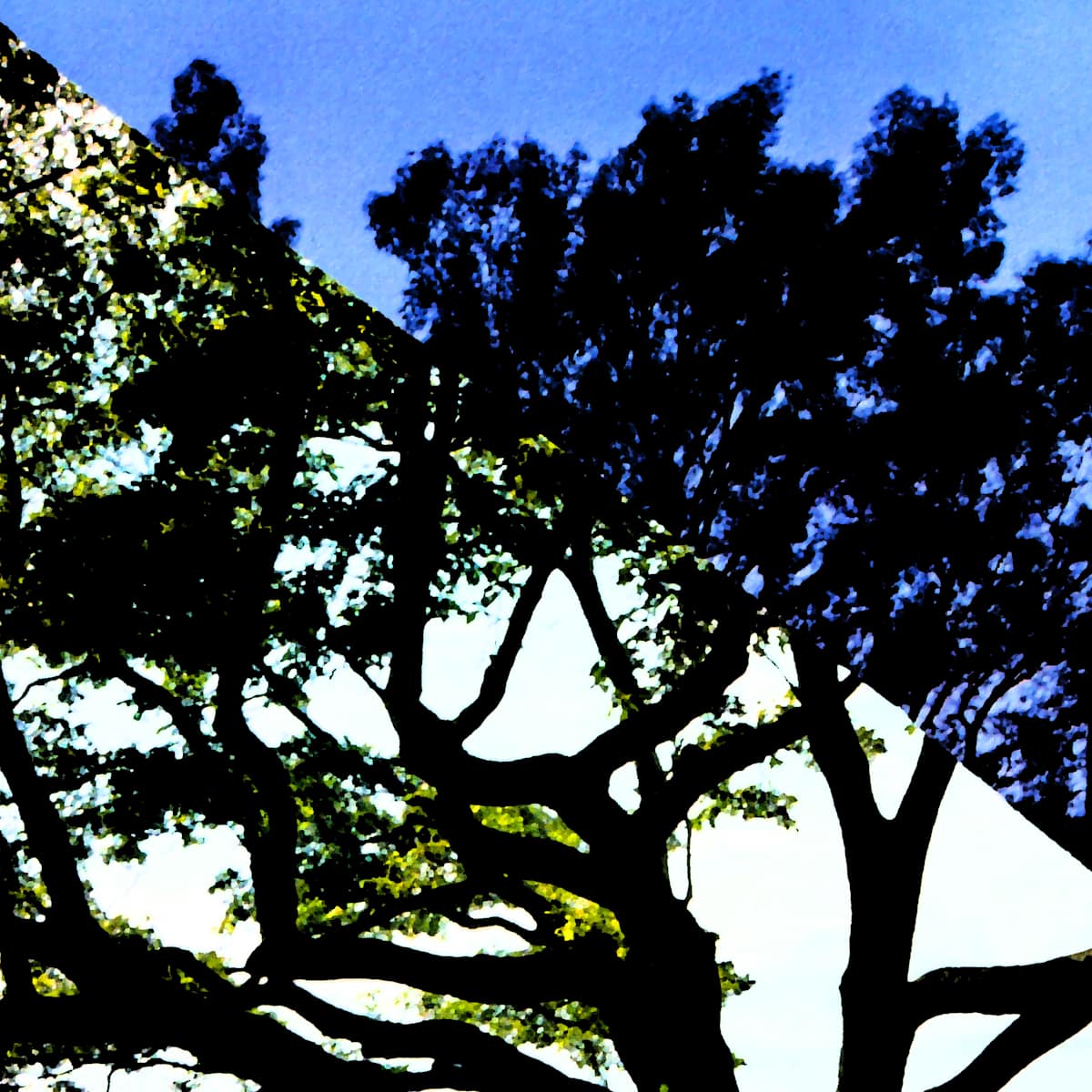 Split Treescape by Gina Godfrey, Image 1.
