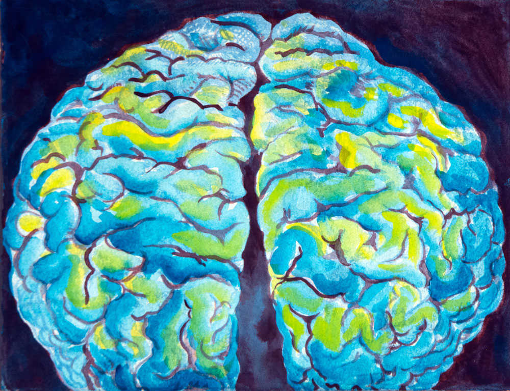 Brainscape III by Sophie Sanders, Image 1.